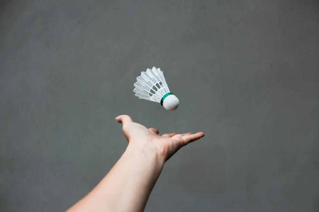 Premium Goose and Duck Feather Badminton Shuttlecocks by Zolt International